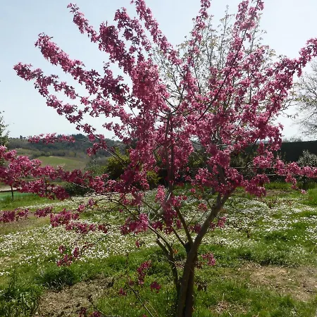 Le Tre Pietre - Podere Nel Chianti