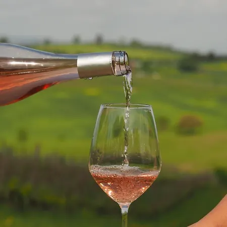 Le Tre Pietre - Podere Nel Chianti Farma *