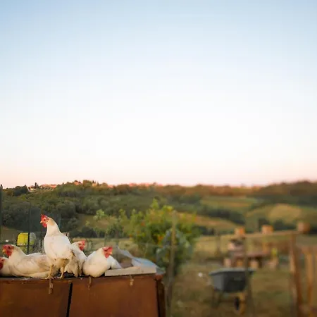 Le Tre Pietre - Podere Nel Chianti Farma *
