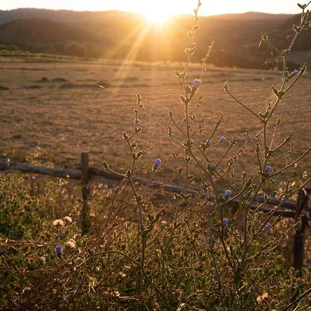 Le Tre Pietre - Podere Nel Chianti Farma
