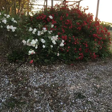 Le Tre Pietre - Podere Nel Chianti Κατάλυμα σε φάρμα Quercegrossa